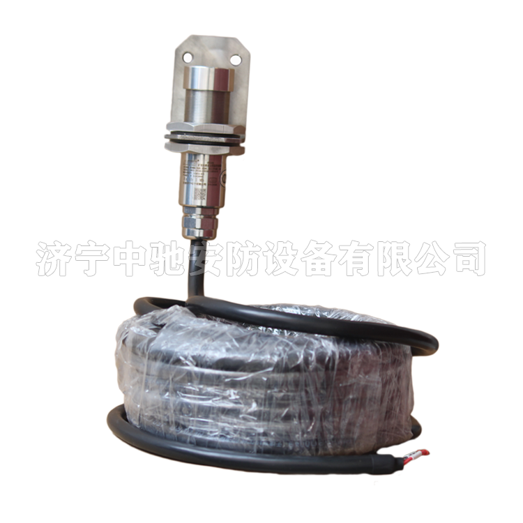 天津華寧GWH300-W礦用本質**型溫度傳感器 (7).png